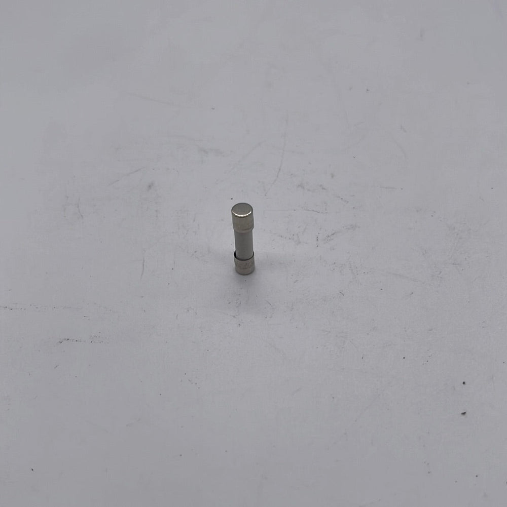 6.3A fuse for Wolf GT
