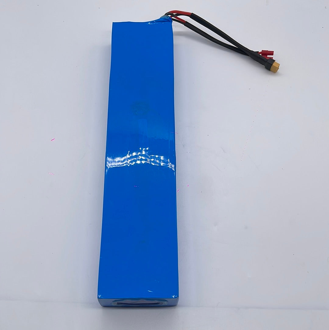 Light2 CN 36V 10.4AH Battery